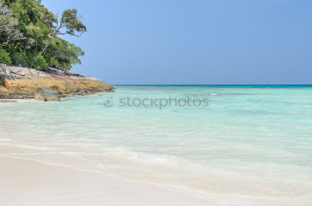 Similar – Beach in New Zealand