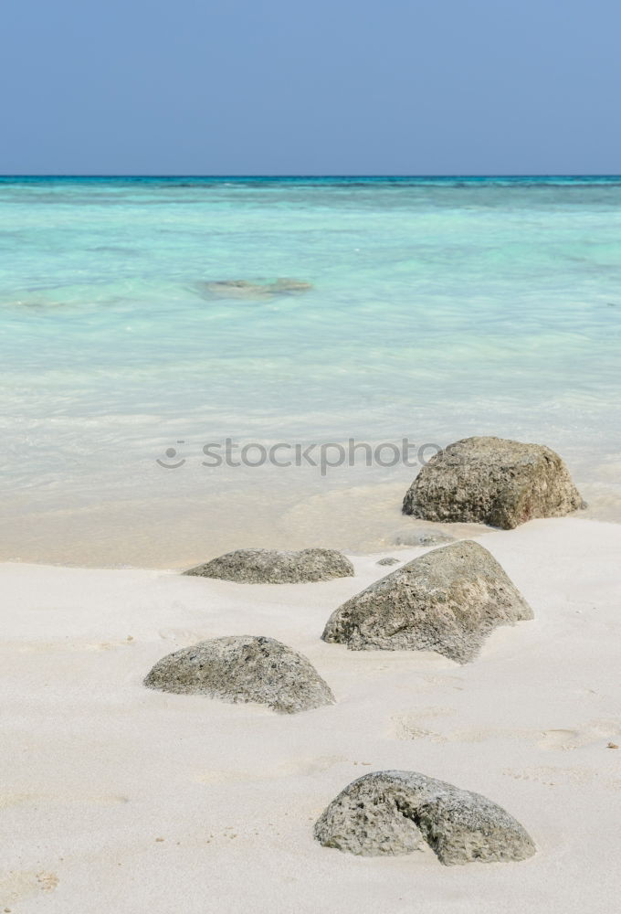 Similar – Image, Stock Photo Maldives Beach 01 Ocean