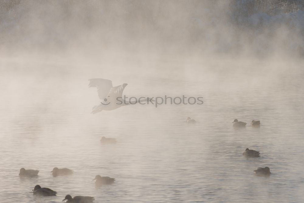 Similar – Aufbruchstimmung Natur