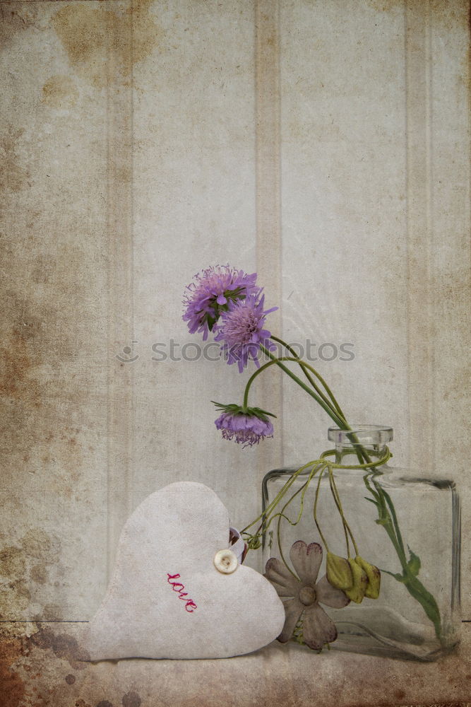 Similar – Flowers, scissors and decoration for bunch of flowers