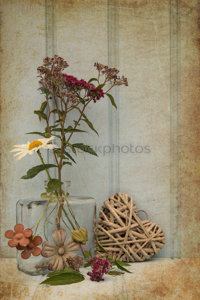 Similar – various dried leaves and flowers