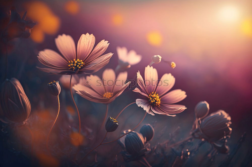 Similar – Image, Stock Photo Fine yellow flowers in the garden