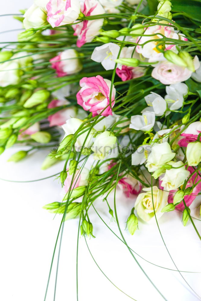 Similar – Image, Stock Photo birthday Bouquet Flower