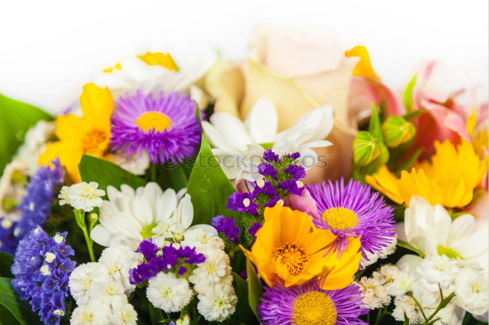 Similar – Image, Stock Photo birthday Bouquet Flower