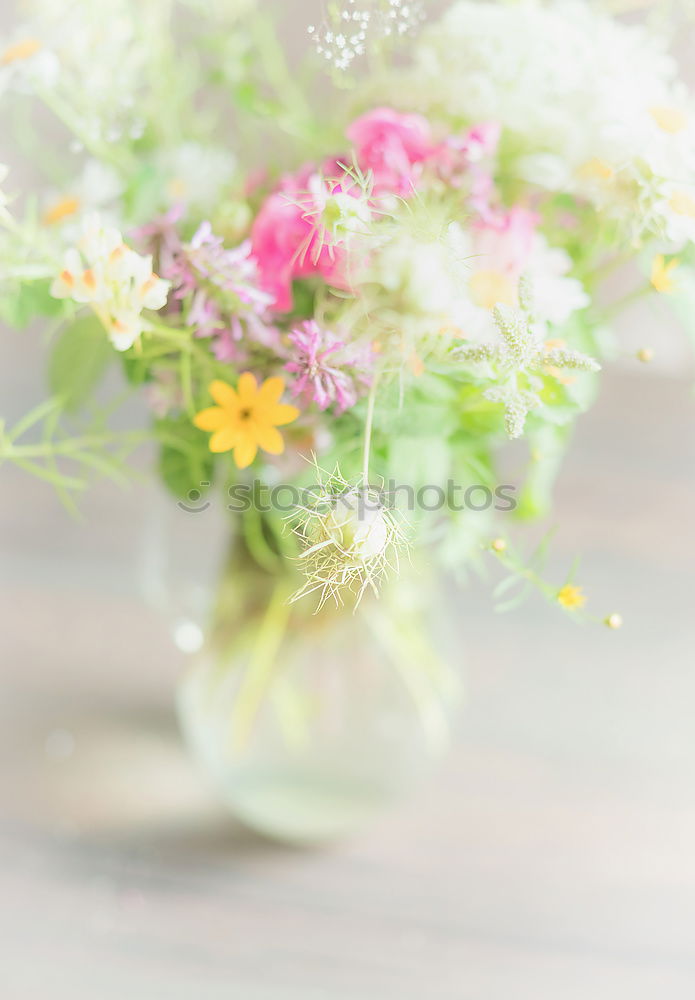 Similar – Bouquet with wild daisies