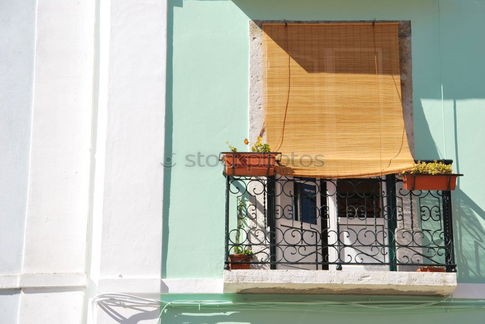 Similar – Foto Bild Freiheit II Rialto Venedig