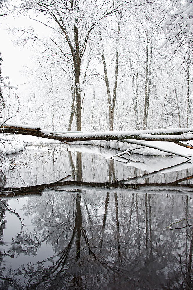 Similar – Image, Stock Photo scarecrow Winter