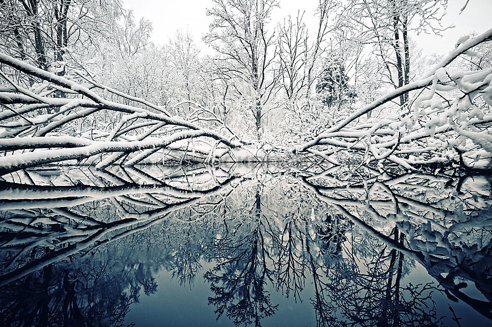 Similar – Foto Bild Winterzauber Landschaft