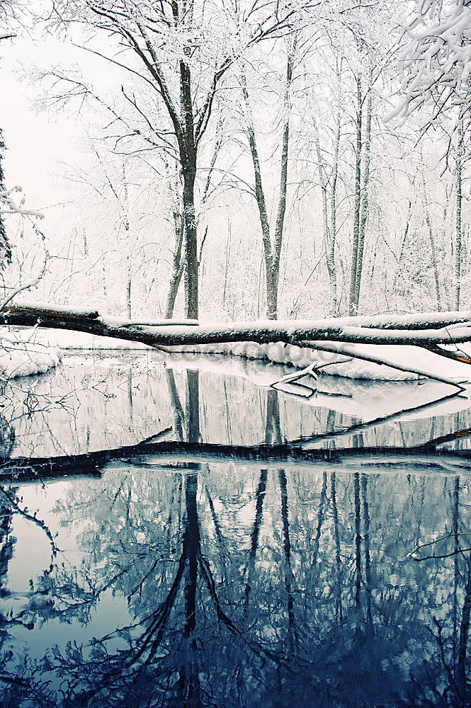 Similar – Image, Stock Photo Silent river in winter sleep