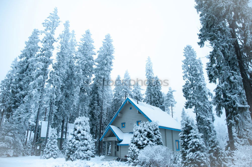 Similar – Image, Stock Photo real winter Loneliness