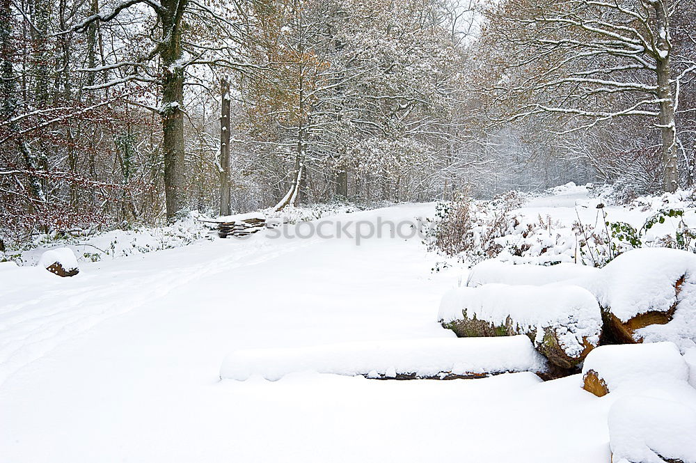 Similar – Image, Stock Photo Powdered Environment