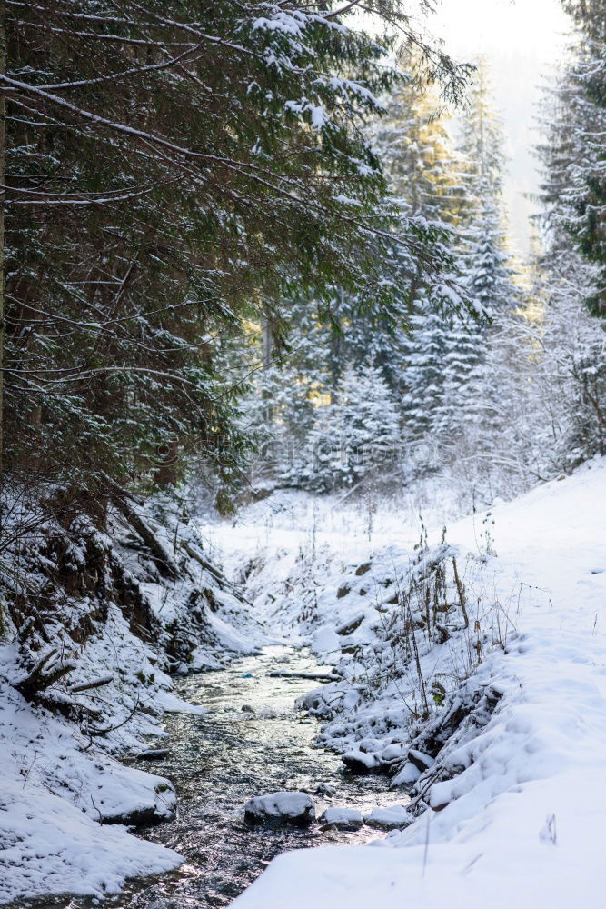 Similar – Image, Stock Photo The way Hiking Fitness