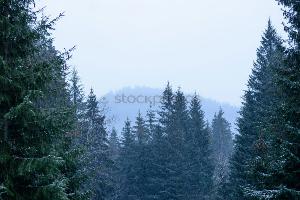 Similar – Frost as far as the eyes can see