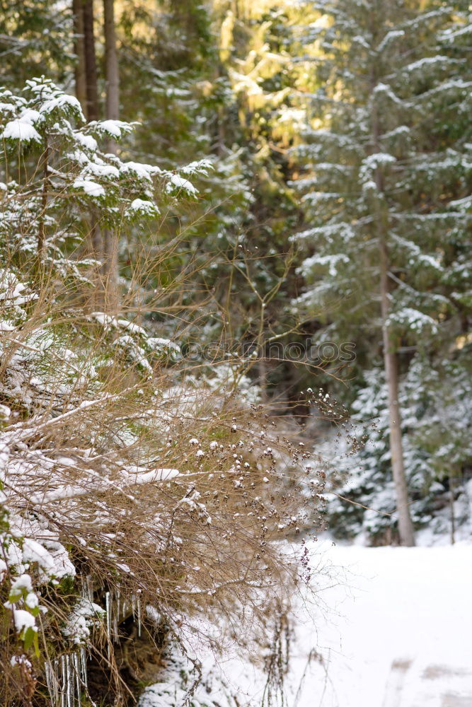 Similar – Image, Stock Photo The way Hiking Fitness