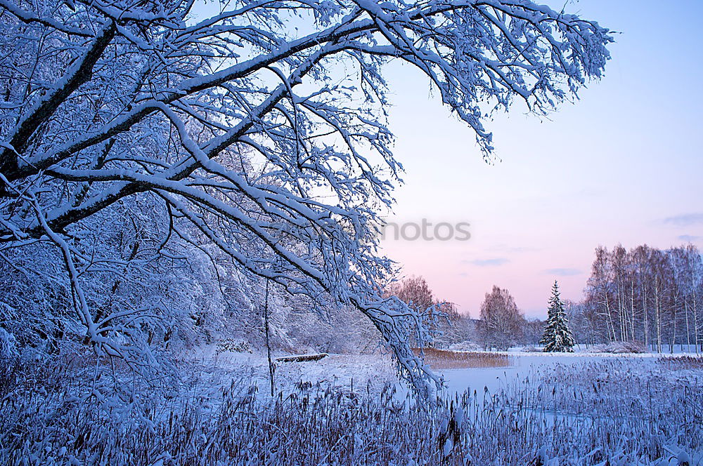 Nordic Winter Dämmerung