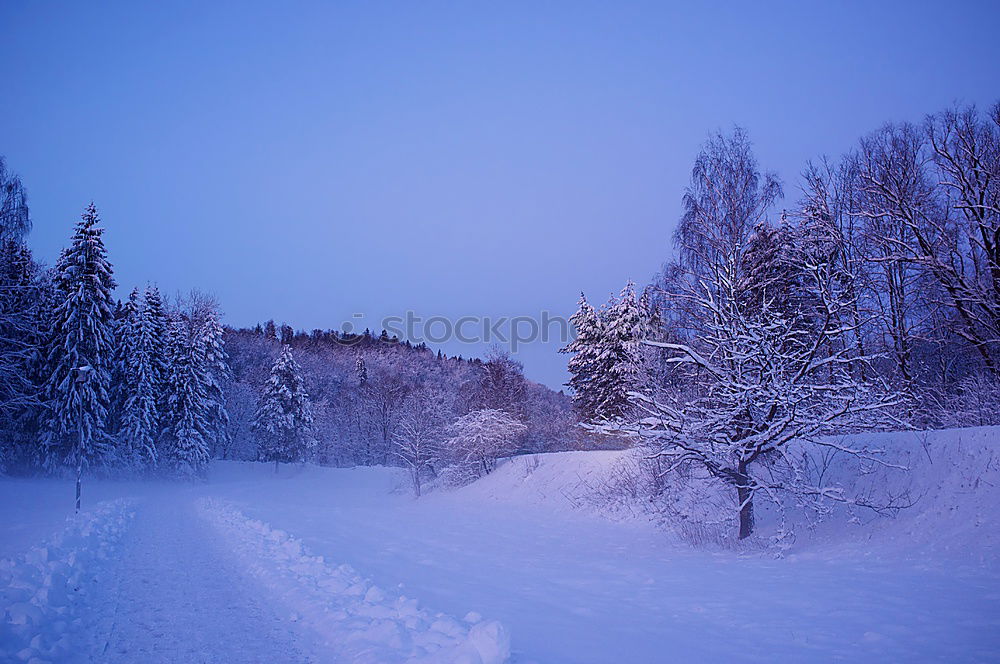 Similar – Nordic Winter Dämmerung