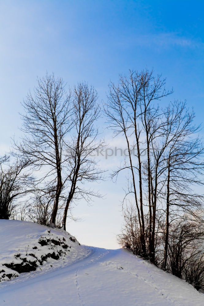 Similar – Image, Stock Photo new christmas card 10