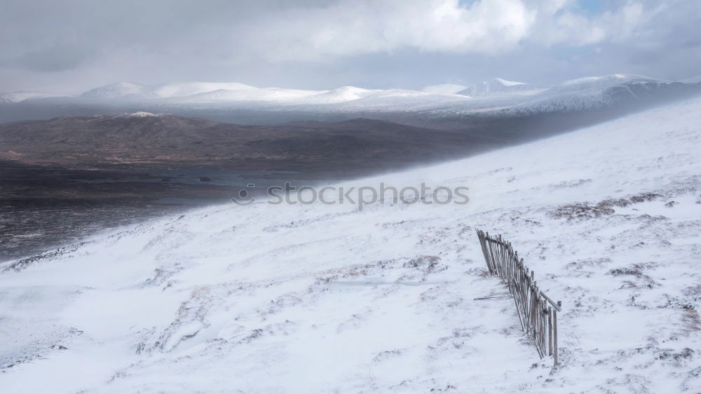 Similar – Image, Stock Photo Man jogging through meadow pathway during heavy snowing