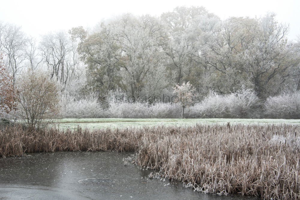 Similar – Foto Bild Frostschatten Leipzig