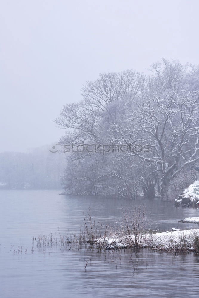 Similar – Alone on the lake Lake