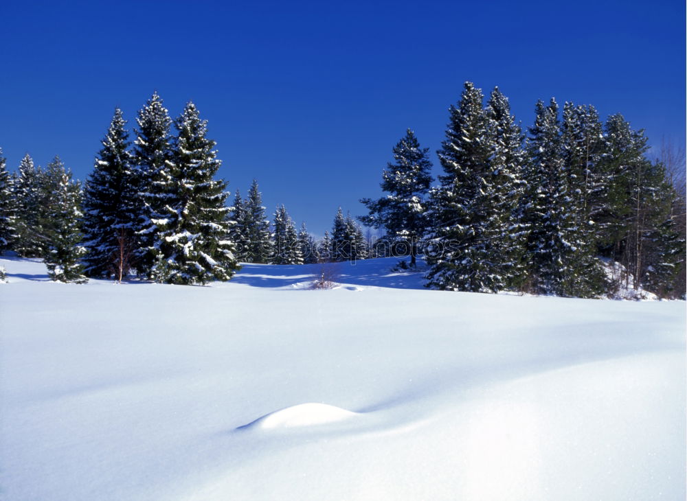 Similar – Image, Stock Photo winter hike in the northern Black Forest on a sunny day