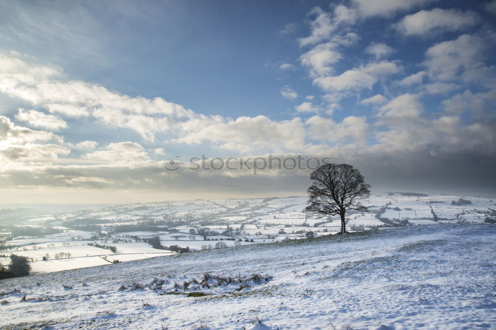 Similar – Winterdorf Umwelt Natur