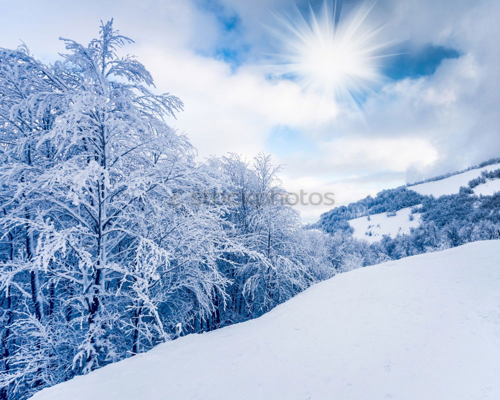 Similar – sloping winter forest