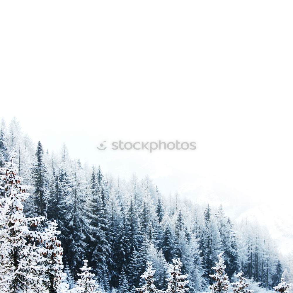 Similar – Image, Stock Photo red umbrella Human being 1