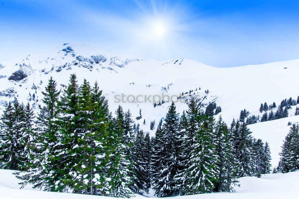 Similar – View from the Unterberg to the foothills of the Alps