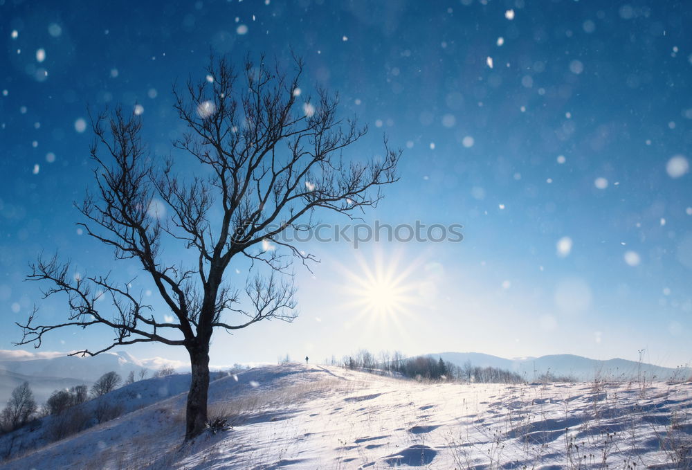 Similar – Image, Stock Photo Christmas card 24 Sunbeam