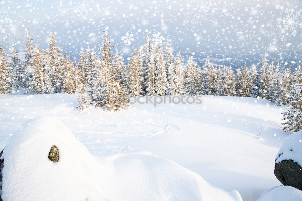 Similar – Image, Stock Photo Evening sun in the winter landscape