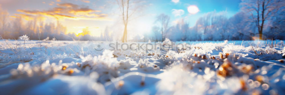 Similar – Image, Stock Photo test Winter Ice Lake