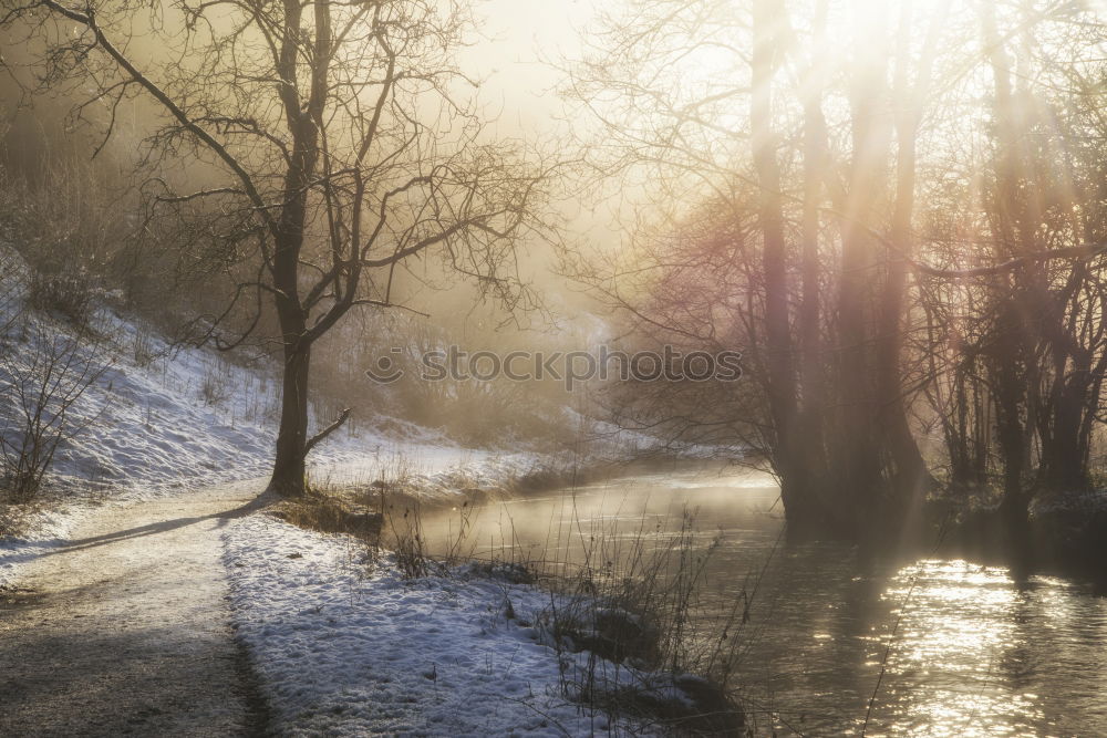 Similar – Image, Stock Photo Snow falling on a countryside road in the winter