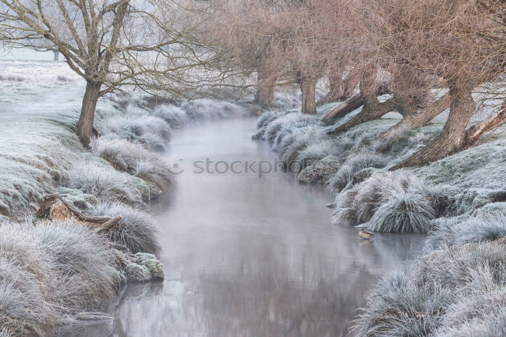 Similar – Foto Bild Frostschatten Leipzig