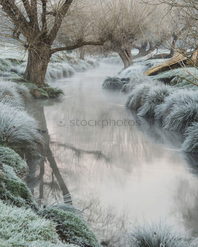 Similar – Foto Bild Frostschatten Leipzig