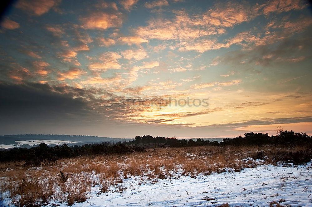 Similar – Image, Stock Photo Mudstones, Elbe Sandstone Mountains