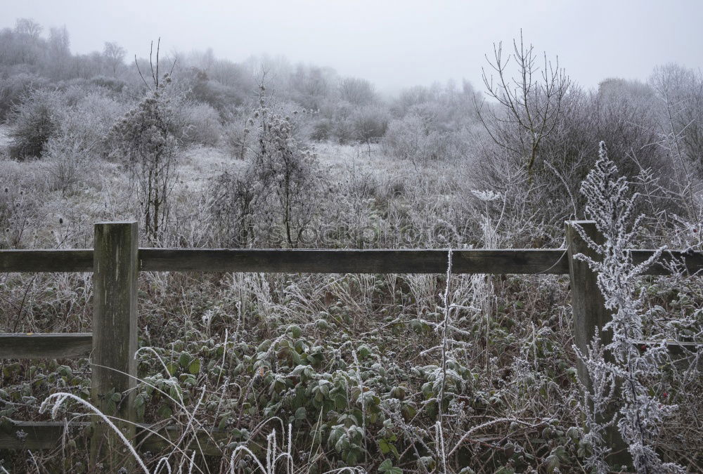 Similar – Image, Stock Photo View into the valley Fog