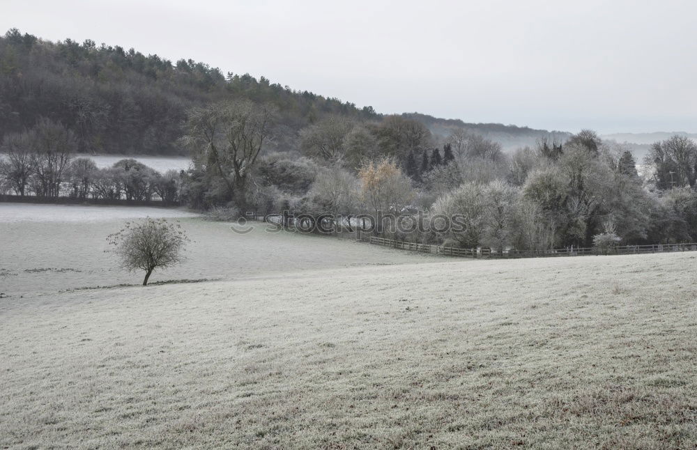 Similar – snow falling on meadows