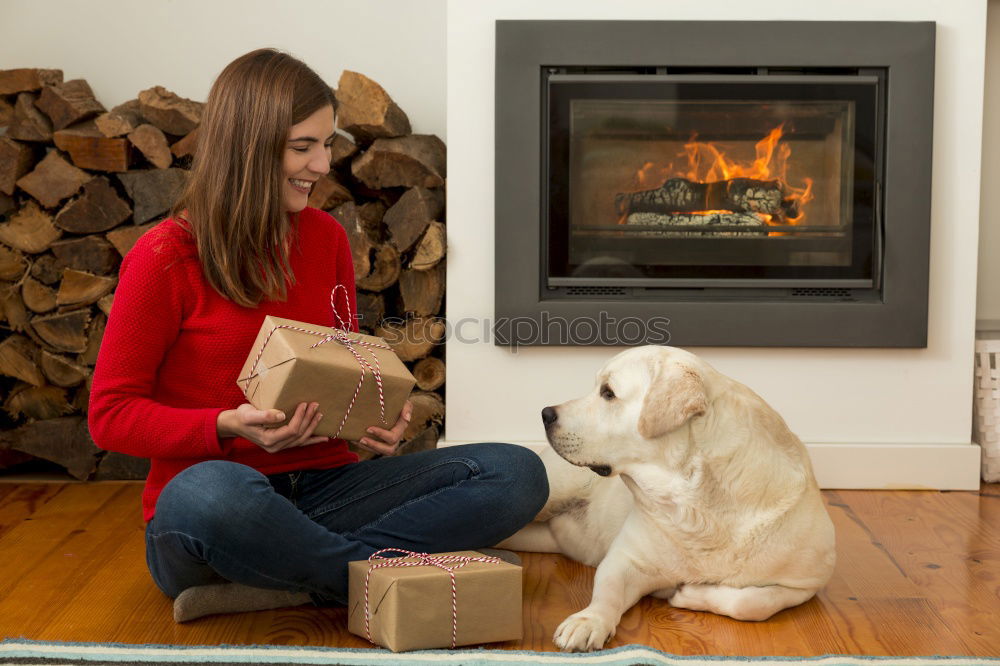 Similar – Foto Bild Weibliche Füße und süßer Hund im Kamin vor dem Kamin