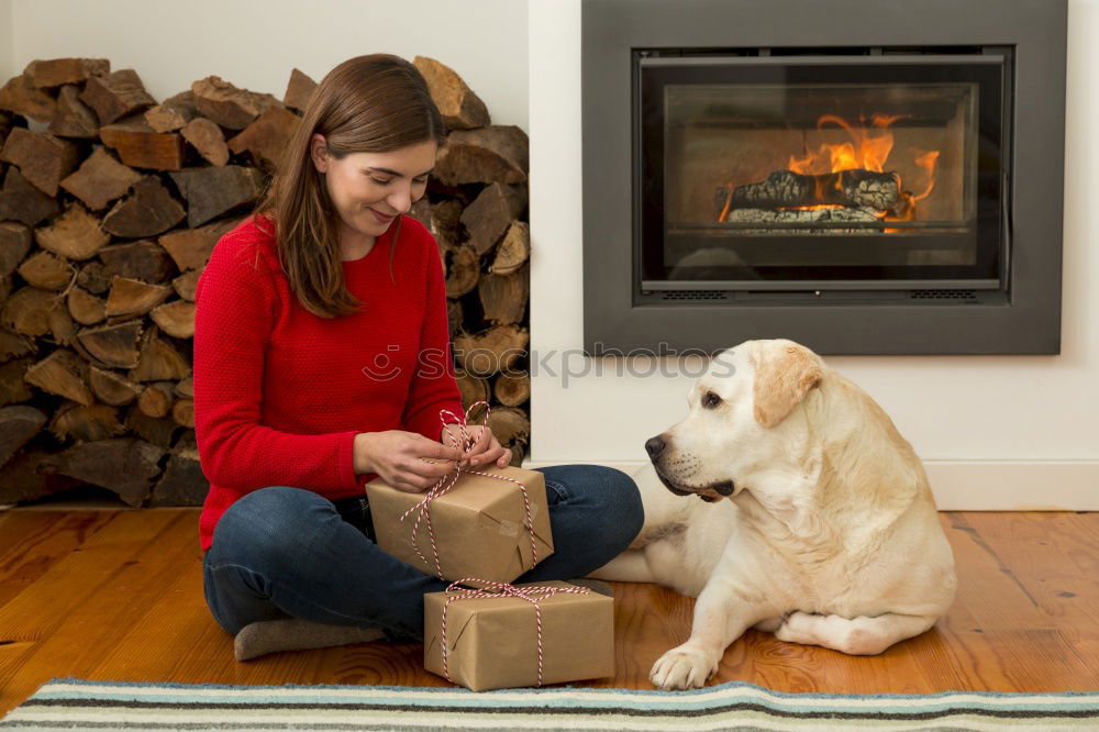 Similar – Foto Bild Weibliche Füße und süßer Hund im Kamin vor dem Kamin