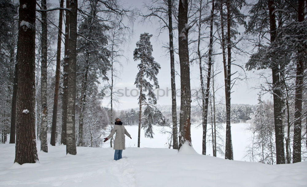 Similar – Foto Bild winterspaziergang