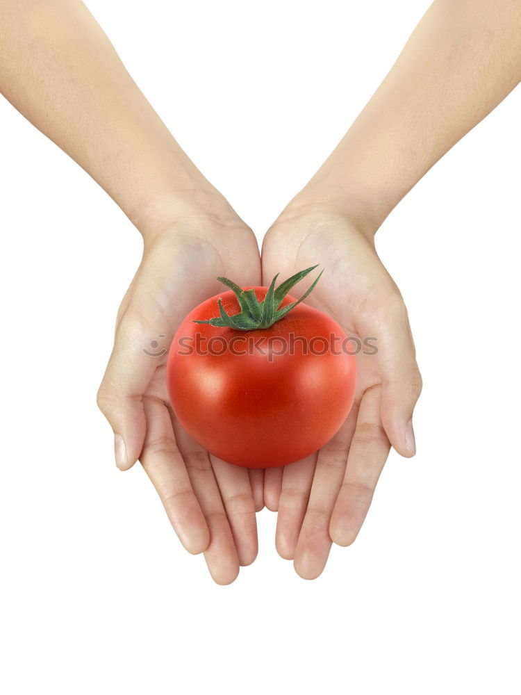 Similar – fresh garden tomato Food