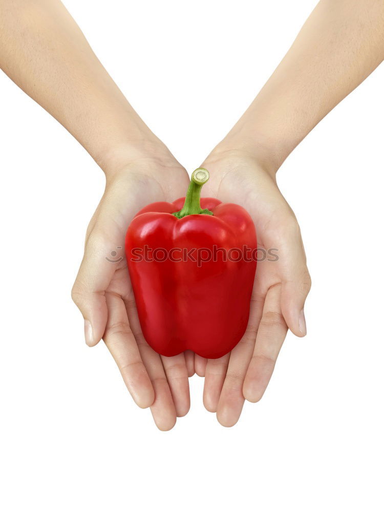 Similar – fresh garden tomato Food