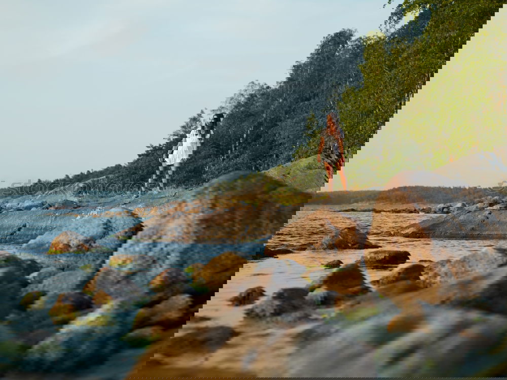 Similar – Image, Stock Photo slope sailing