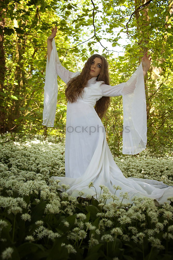 Similar – Image, Stock Photo forest fairy Young woman