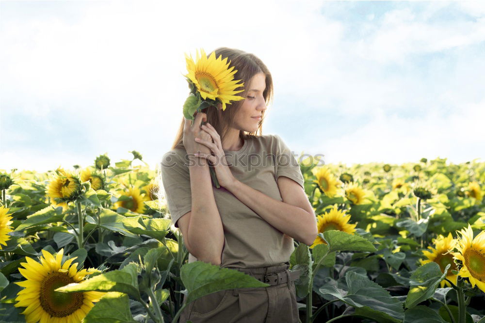 Similar – Image, Stock Photo For you the poppy should bloom…