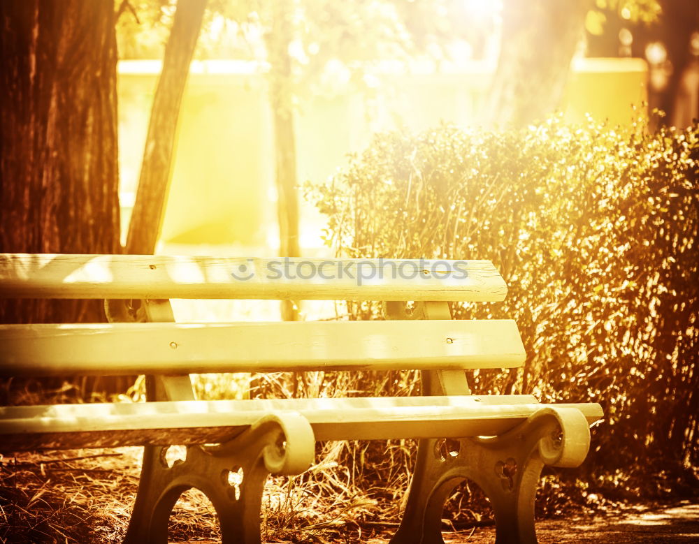 Similar – Image, Stock Photo bench Park Bench Seating