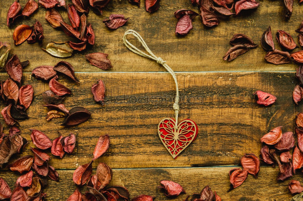 Similar – Image, Stock Photo Beautiful heart maked with dry petals