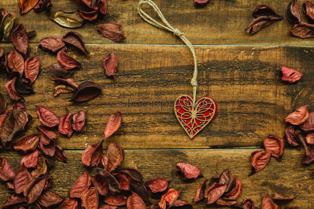 Similar – Image, Stock Photo Beautiful heart maked with dry petals