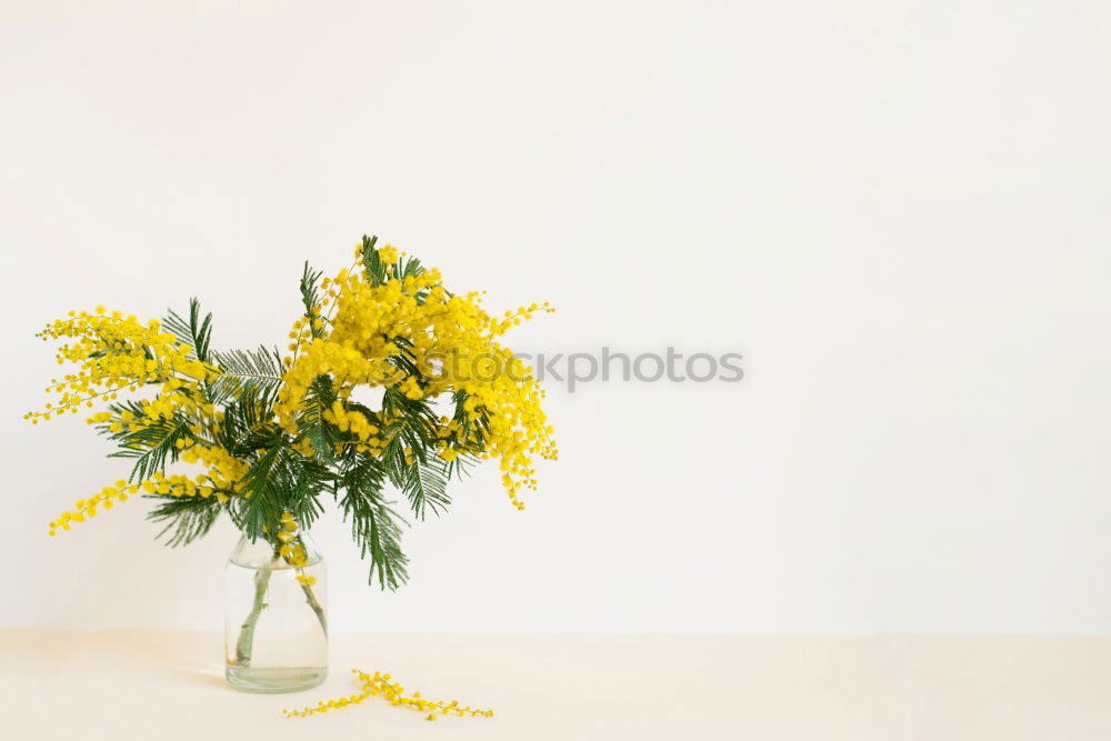 Similar – Image, Stock Photo Bouquet with wildflowers